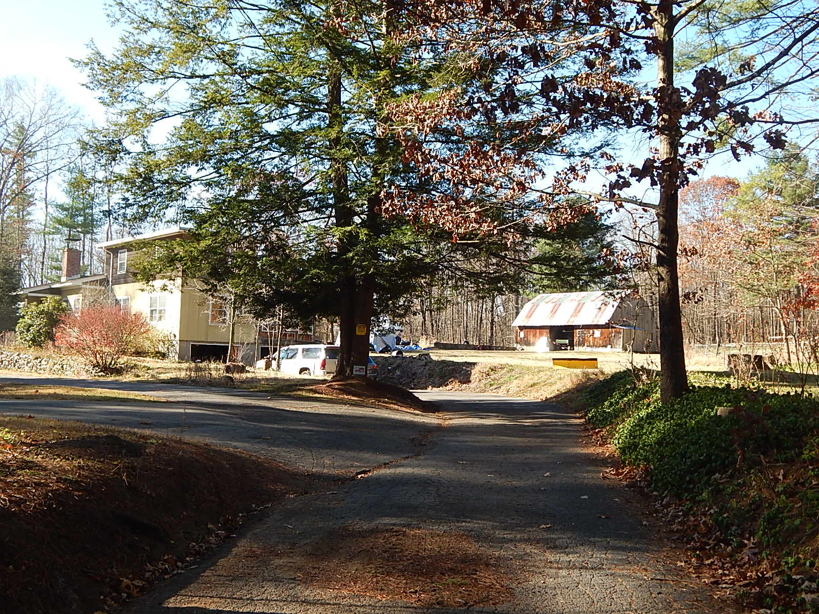 Image Date: 11/21/2013